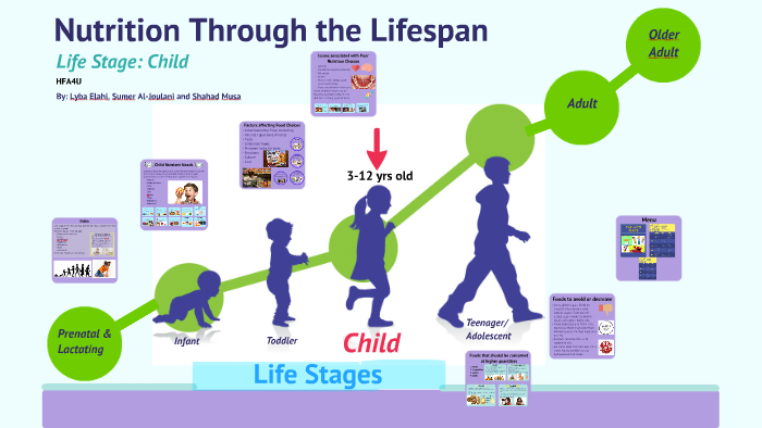 Nutrition Through the Lifespan by Lyba Elahi on Prezi