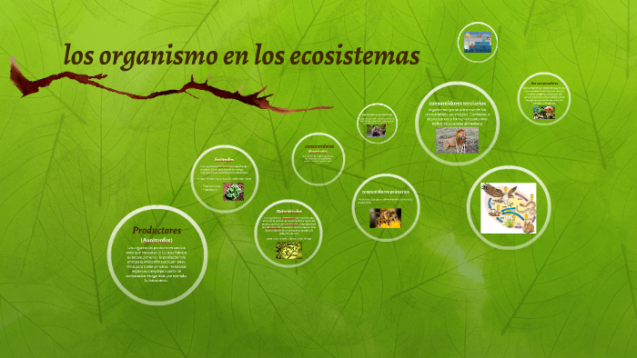 los organismo en los ecosistemas by Angie Yunda on Prezi