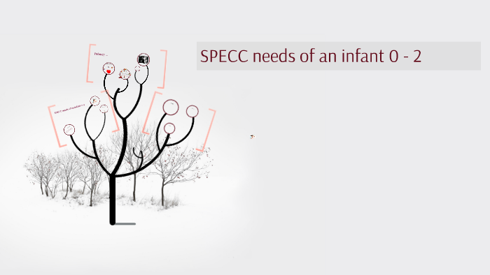 SPECC needs of a infant 0-2 by Marina Petkova on Prezi