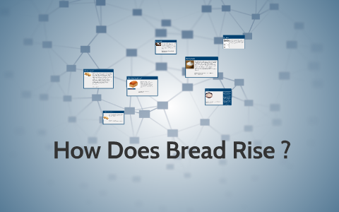 How Does Bread Rise By Dominic Arnone On Prezi