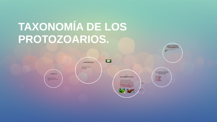 TAXONOMÍA DE LAS ALGAS by Vane Rodríguez on Prezi