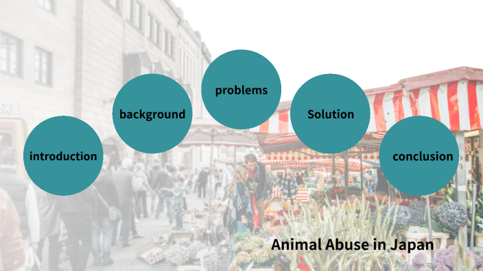 Animal Abuse in Japan by 藤本 あゆみ on Prezi