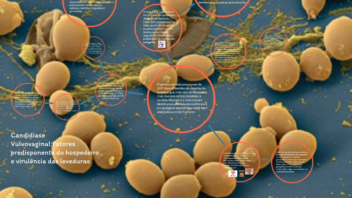 Candidíase Vulvovaginal:Fatores predisponente do hospedeiro by felipe schio