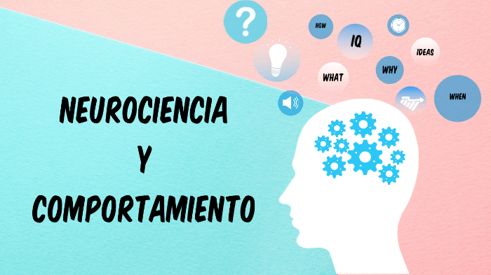 neurociencia y comportamiento by genesis lore on Prezi