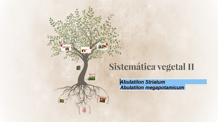 Sistemática Vegetal Ii By Rode Silvestre 4012