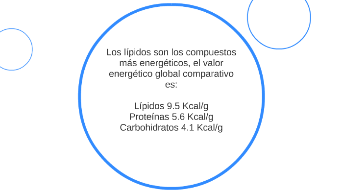 Propiedades Nutrimentales De Los Lípidos By Diana Ramirez 5335