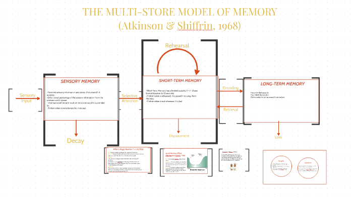 multi-store-model-of-memory-by-andrew-bonica