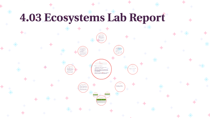 4.03 Ecosystems Lab Report by Anna Roberts on Prezi