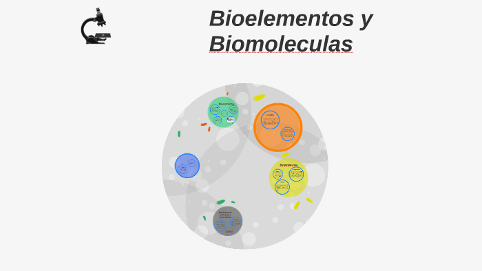 Bioelementos y Biomoleculas by isaa sanchez leon on Prezi