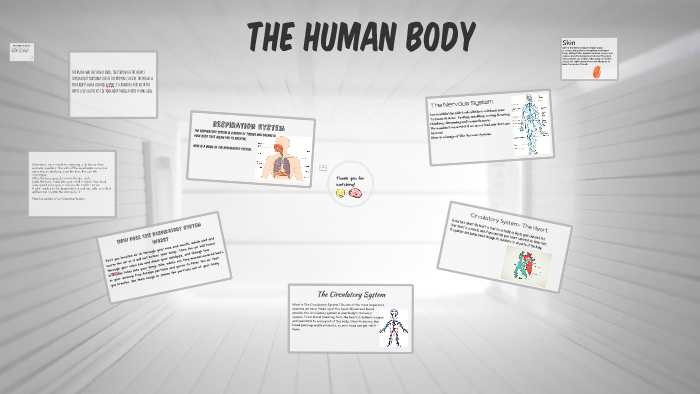 The Human Body by Michelle Rodriguez on Prezi