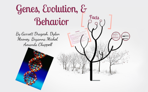 Genes, Evolution & Behavior by Amanda Chappell on Prezi