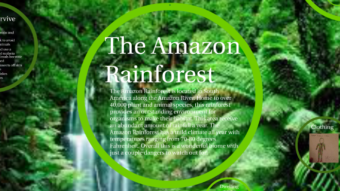 Amazon Rainforest by bobilina north pole on Prezi