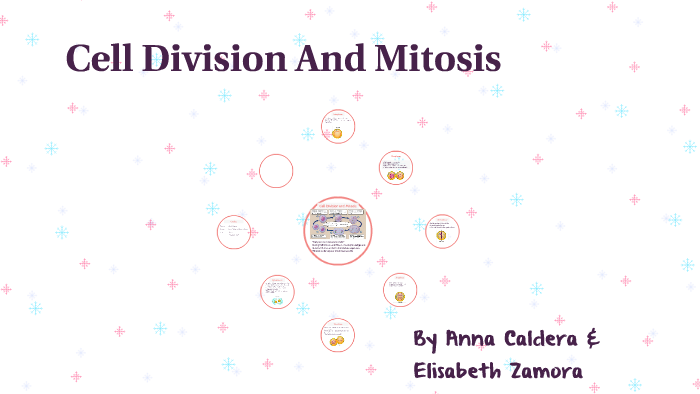 Cell Division And Mitosis by Anna Ca on Prezi