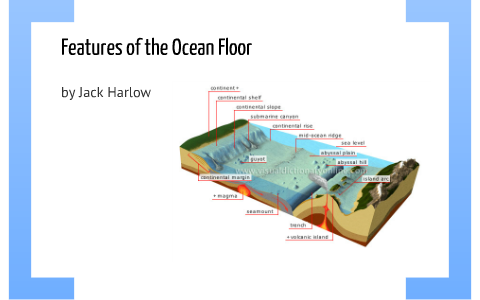 Features of the Ocean Floor by Jack Harlow on Prezi