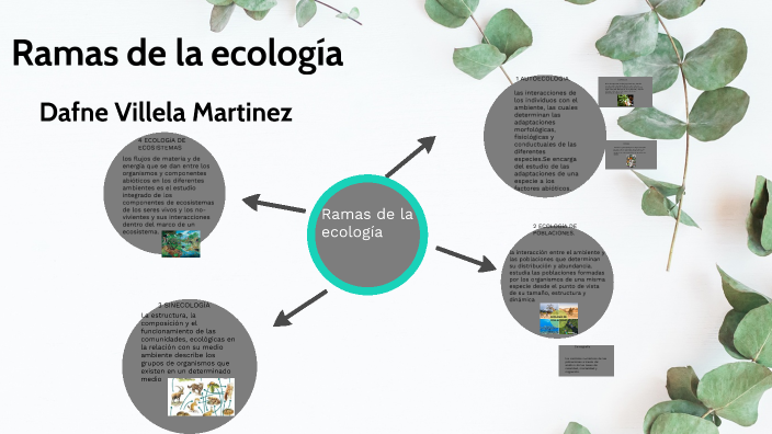 ramas de la ecología by Dafne Villela on Prezi