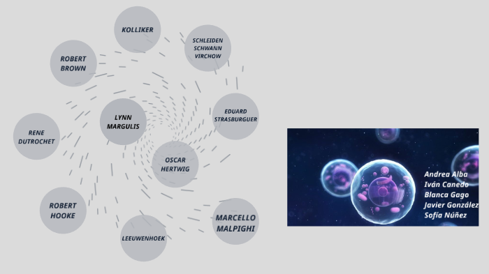 LA CÉLULA by SOFIA NUÑEZ SANCHEZ on Prezi