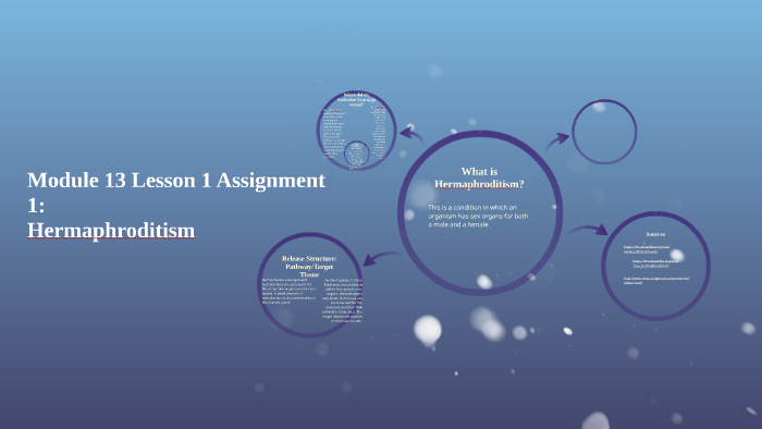 Module 13 Lesson 1 Assignment 1: by Kacie Hochstatter on Prezi