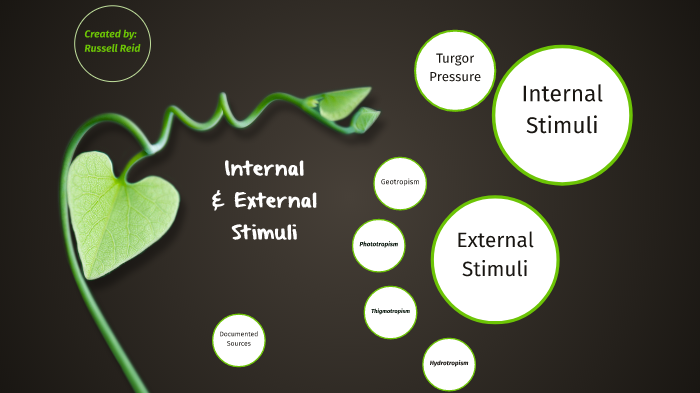 What Is Internal And External Stimuli