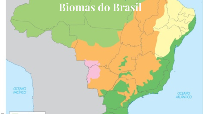 Biomas do Brasil Vinícius Olivato 18º 2ºB by Vinicius Olivato on Prezi