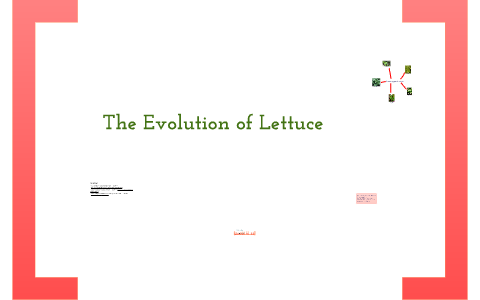Lettuce Evolve