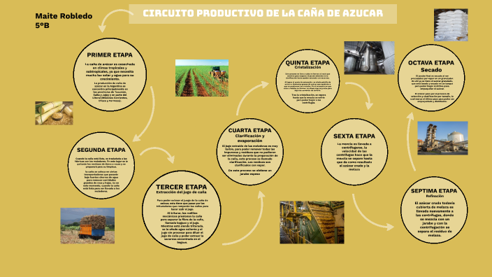 Circuito Productivo Caña De Azúcar: Etapas Y Proceso