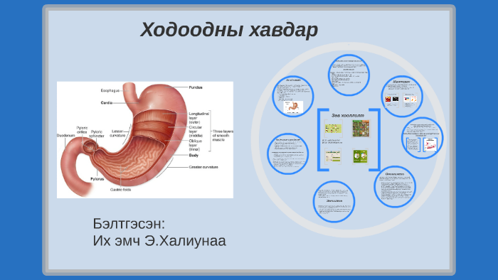 Ходоодны хавдар by Khaika Khb on Prezi