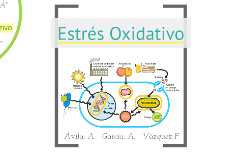 Estrés Oxidativo by Ana Avila on Prezi