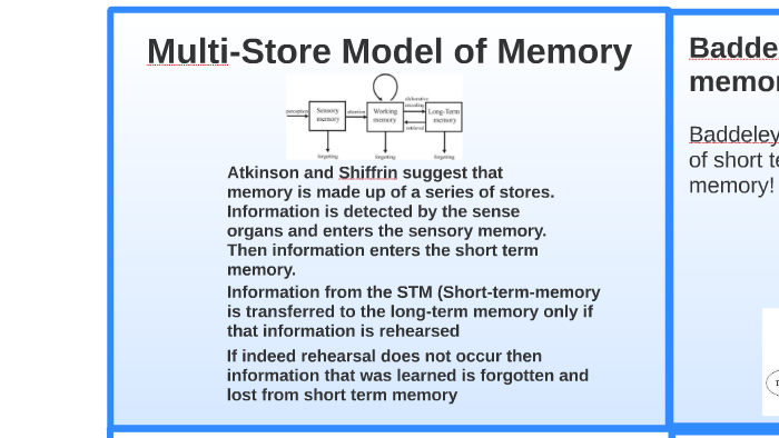 Multi-Store Model of Memory by Ally Litchfield