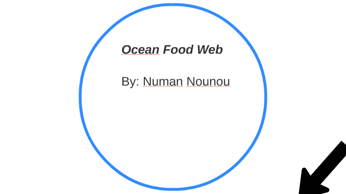 ocean-food-web-by-numan-nounou