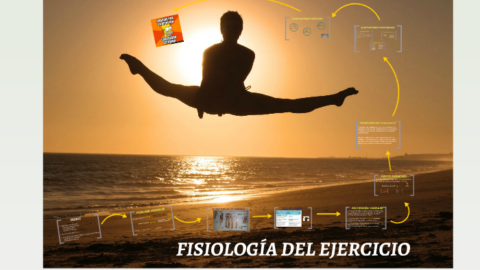 FISIOLOGÍA DEL EJERCICIO by pablo sanchez raya on Prezi