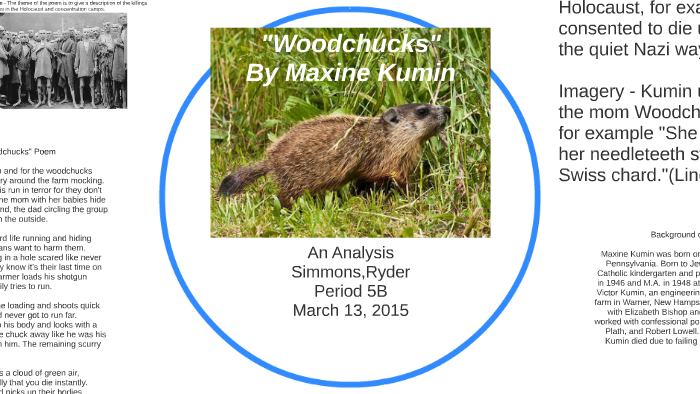 Woodchucks Analysis By Ryder Simmons By Ryder Simmons