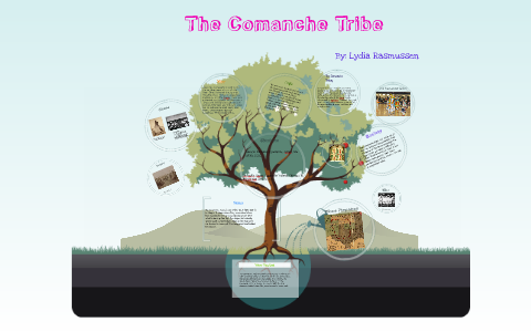 The Comanche Tribe by Lydia Rasmussen