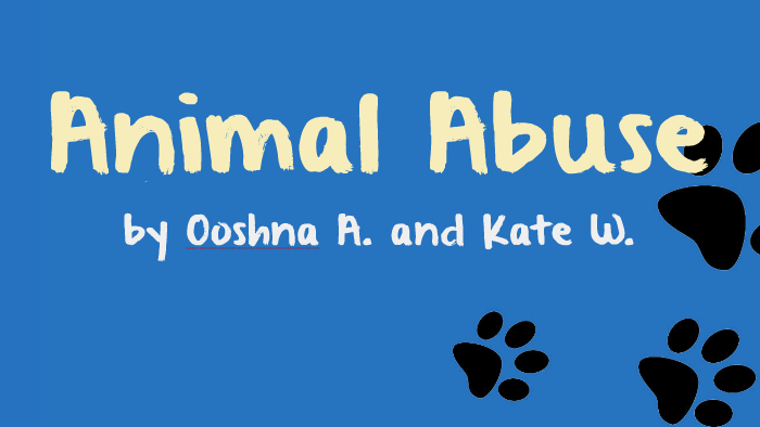 animal shelter informative speech