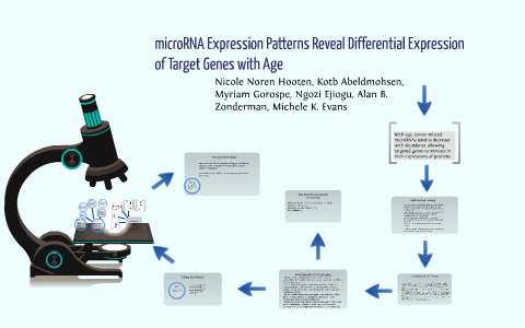 microRNA Expression Patterns by Fizza Aijaz on Prezi