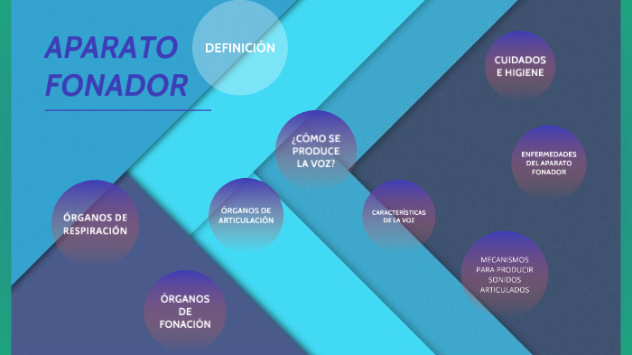 APARATO FONADOR By Sara Chito Gomez On Prezi