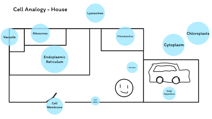Cell Analogy - House by Juan Thomas on Prezi