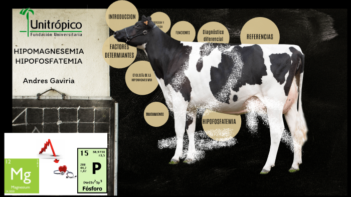 Hipomagnesemia- Hipofosfatemia by Luis A. Gaviria Guzman on Prezi