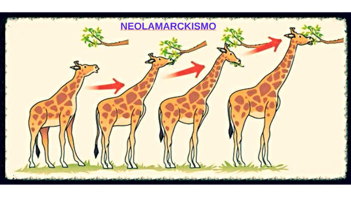 Neolamarquismo