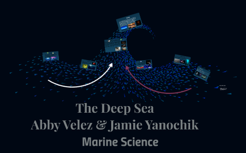 The Deep Sea by Abby Velez on Prezi