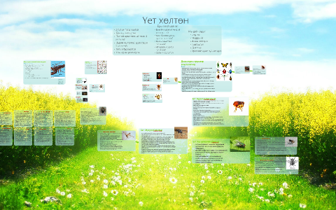 Үет хөлтөн by hani b on Prezi