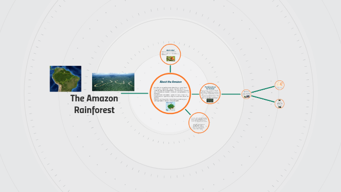 The Amazon Rainforest by Biology Class on Prezi