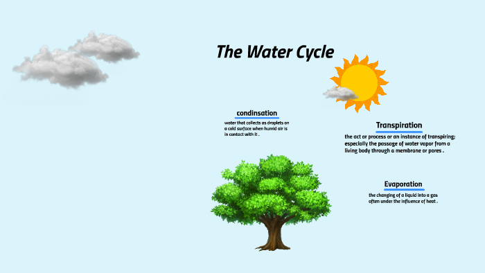 The Water Cycle by Bianca Herrera on Prezi