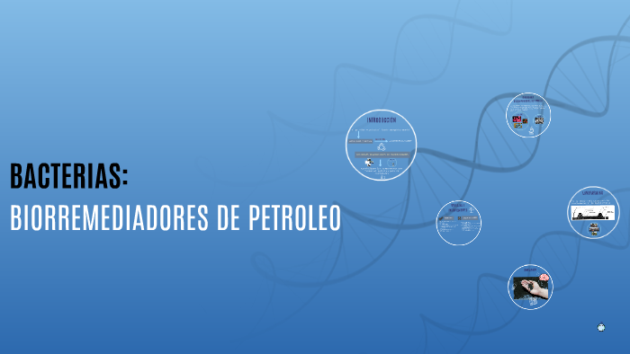 BACTERIAS BIODEGRADADORAS DE PETROLEO By Teresa Sevilla Serna On Prezi