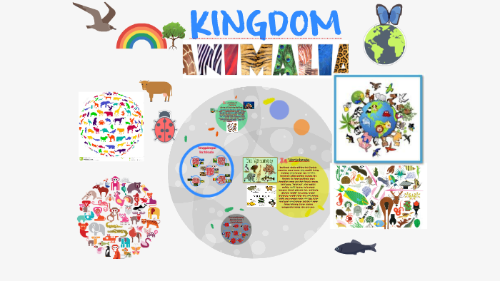 Kingdom Animalia By Abner Taminggu On Prezi