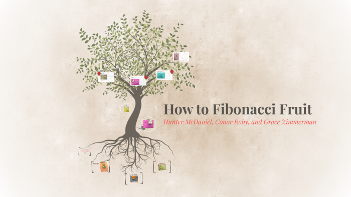 Fibonacci Sequence Project by Grace Zimmerman on Prezi
