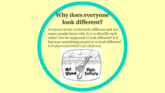 Why does everyone look different? by Mister Allan on Prezi