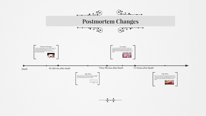 Postmortem Changes By Chasey Davis On Prezi