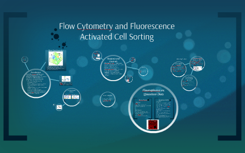 Flow Cytometry and Fluorescence Activated Cell Sorting by K Chan on Prezi