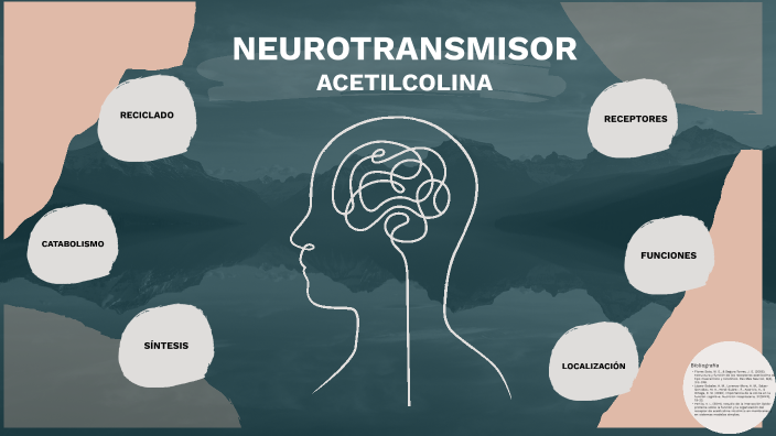 NEUROTRANSMISOR-ACETILCOLINA by David Sebastián Meza González on Prezi