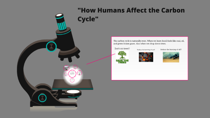 How humans affect the Carbon Cycle by Demetrius Foote on Prezi